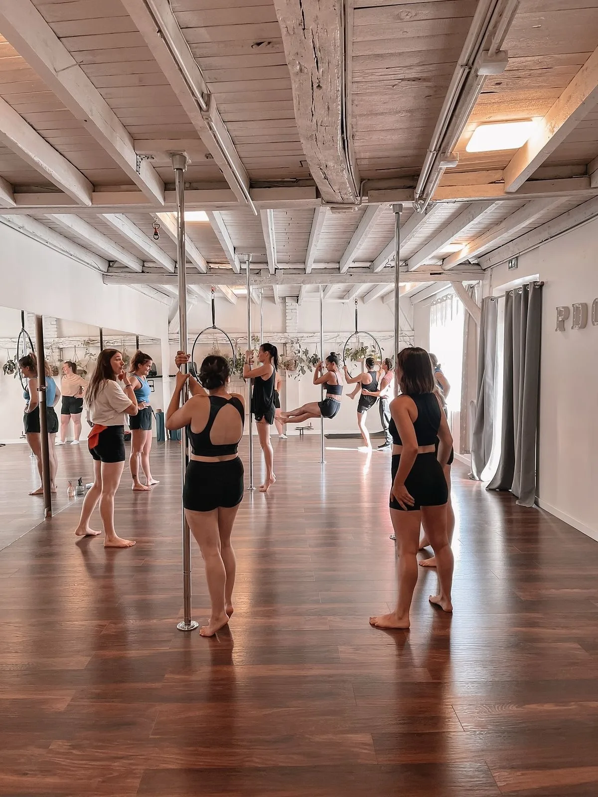 POLE INTRO