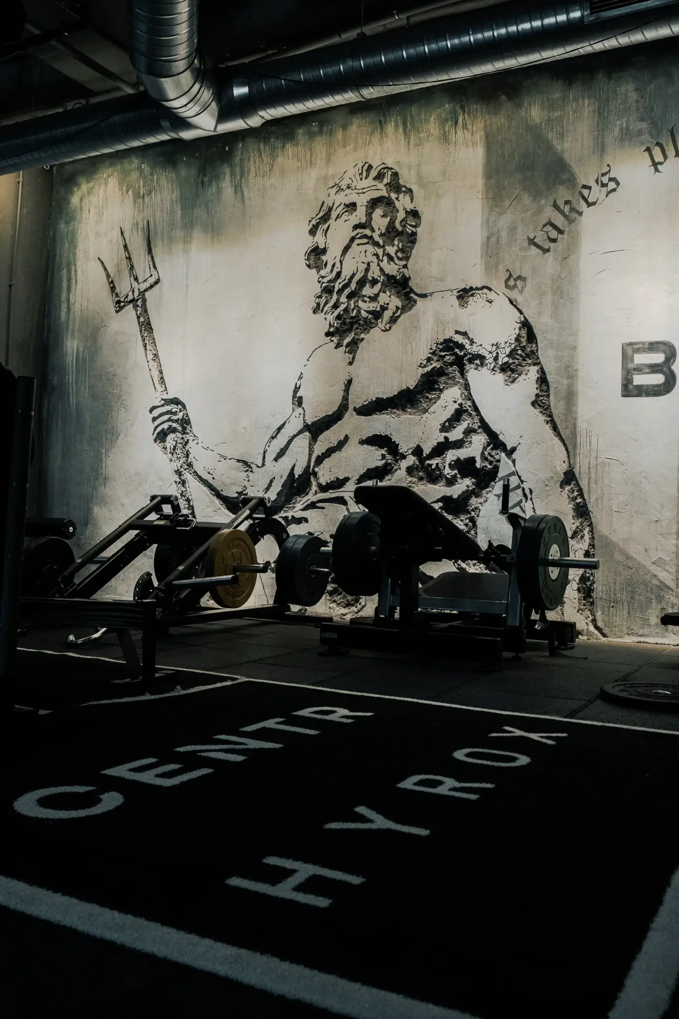 Balaban Hybrid Training kulübünde kürek ergometresi ve duvar grafiğiyle premium ekipman alanı